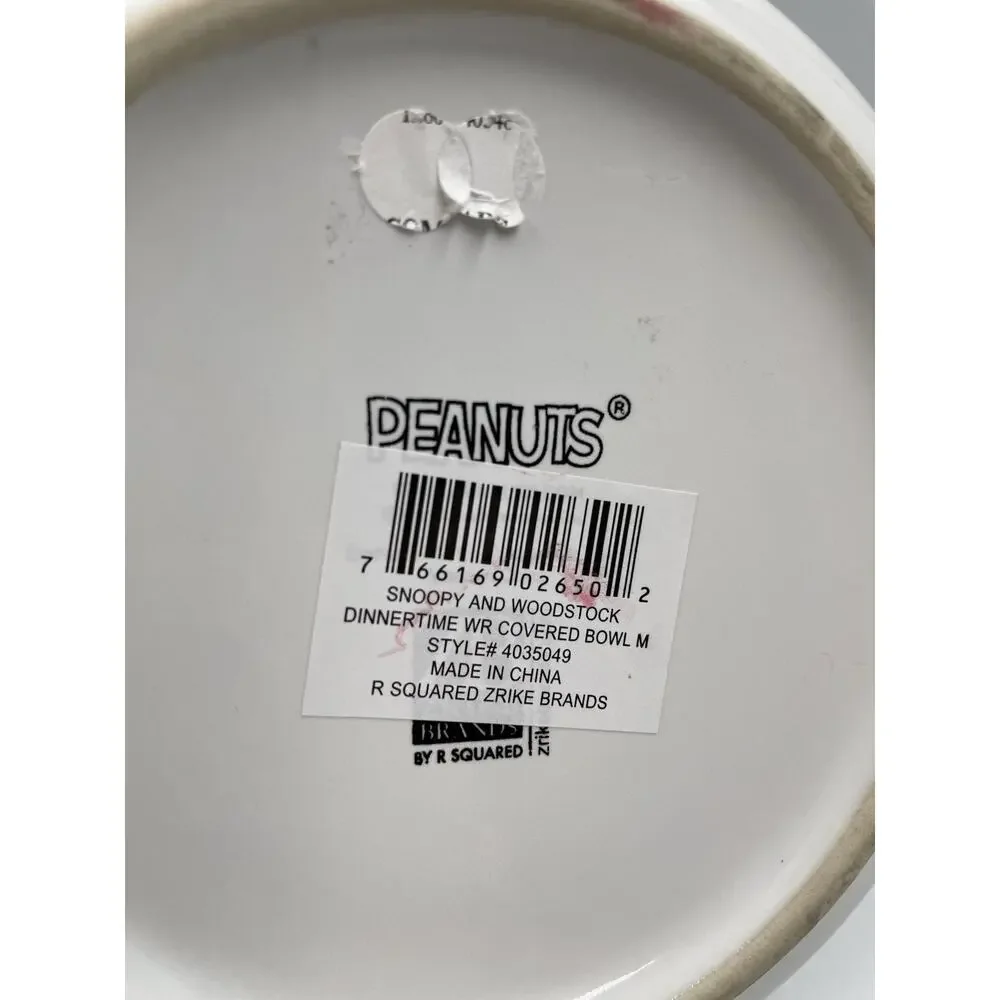 NEW Peanuts Snoopy Woodstock Pressure Lid Ceramic Food Storage Bowl Medium